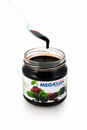 Mega Flavon 1 OL.jpg
