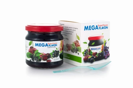 Mega Flavon 1 LP.jpg