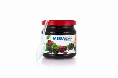 Mega Flavon 1 L.jpg