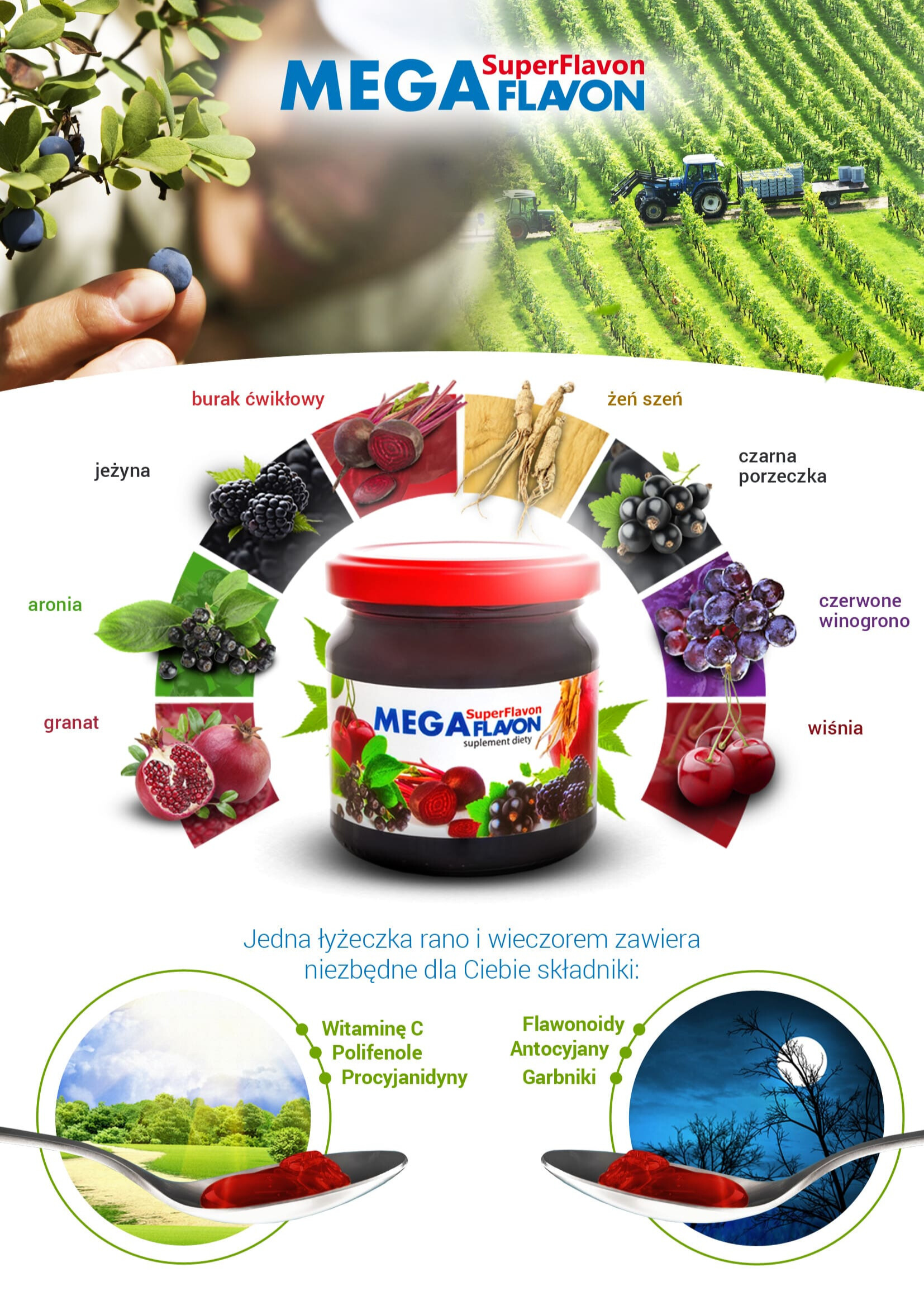 Infografika Mega Flavon komplet dla dwojga